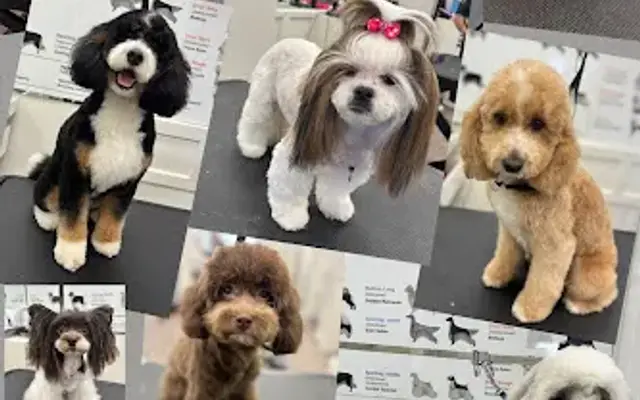 Tails of Eden Pet Salon LLC in Union, KY