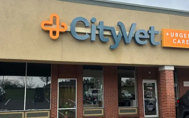 CityVet | Aurora Veterinary Clinic & Urgent Care in Aurora, CO