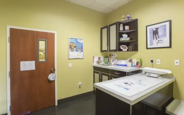 Lakeside Animal Hospital in Odessa, FL