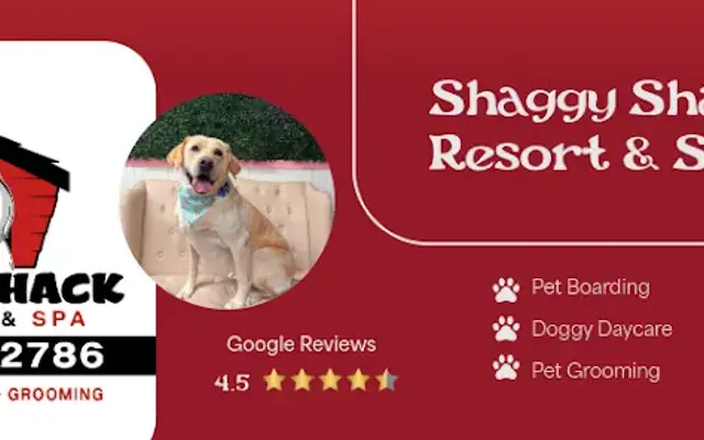 Shaggy Shack Pet Resort & Spa in Spanaway, WA