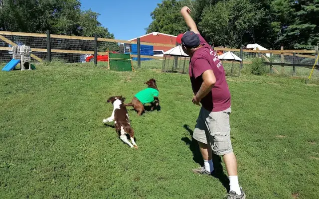 Mariah-Belle Manor Kennel in Mt Airy, MD
