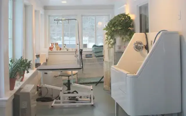 FairWinds Grooming Studio in Freedom, ME