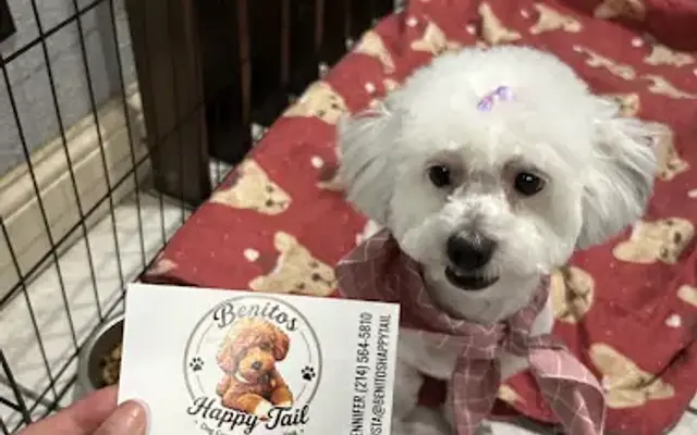 Benitos Happy Tail in Garland, TX