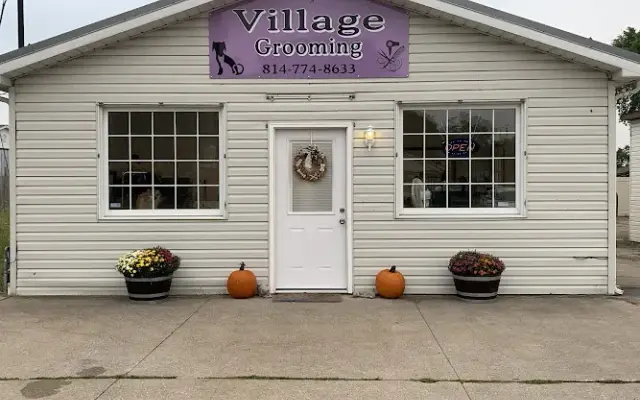 Sarah Vanicek’s Village Grooming in Girard, PA