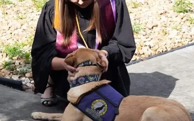 Sit Service Dogs in Ava, IL