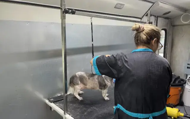 LOVING SPAW MOBILE GROOMING in Houston, TX