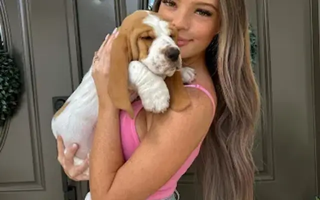 Pampered pups in Tampa, FL