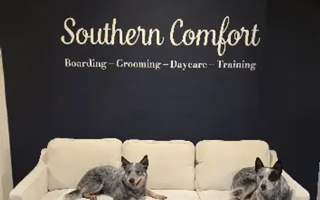 Southern Comfort Boarding, Grooming, Daycare, & Training in Marietta, GA