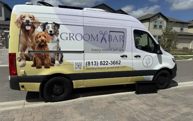 Groombar Wesley Chapel in Wesley Chapel, FL