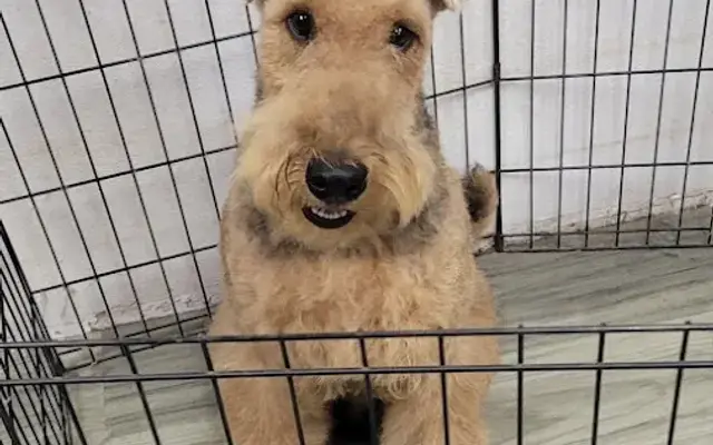 Furrytails pet salon in Bakersfield, CA