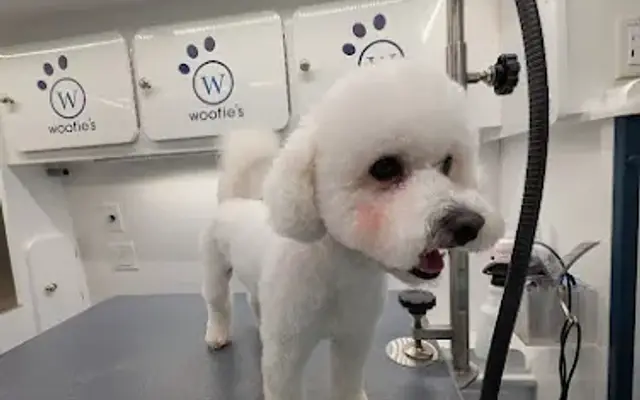 Woofie’s® of North Dallas in Dallas, TX