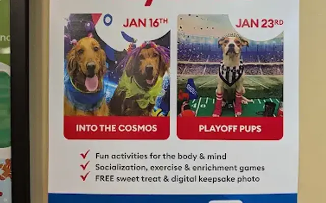 PetSmart Doggie Day Camp in Mt Prospect, IL