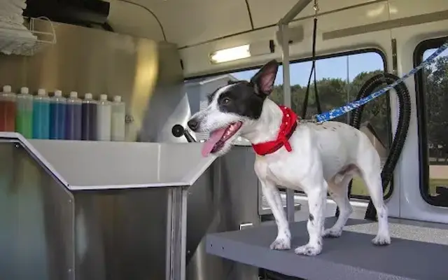 Aussie Pet Mobile Will County in Mokena, IL