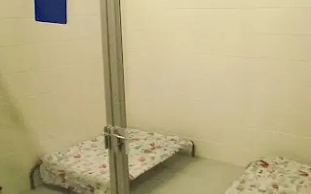 Davis Pet Hotel & Spa in Pensacola, FL