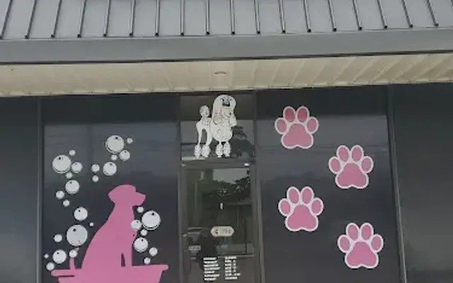 Spring K9 Pet Salon in Spring, TX