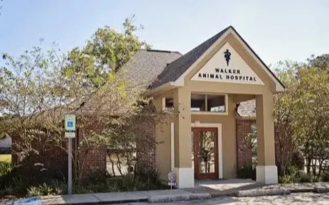 Walker Animal Hospital in Walker, LA