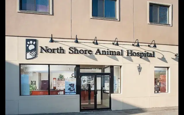 North Shore Animal Hospital in Bayside, NY