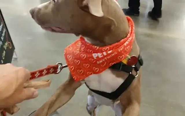 PetSmart Grooming in Wichita, KS