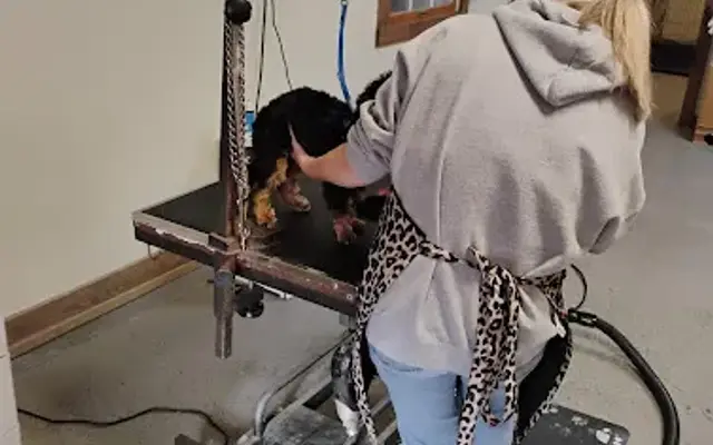 Ruff Cuts Dog Grooming Salon in Lewistown, PA