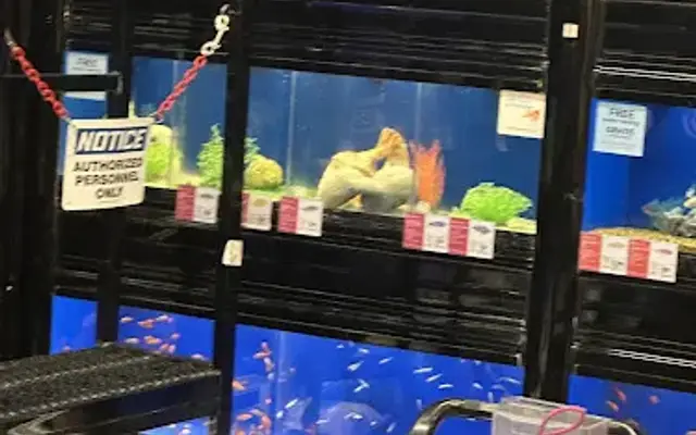 PetSmart Grooming in Compton, CA