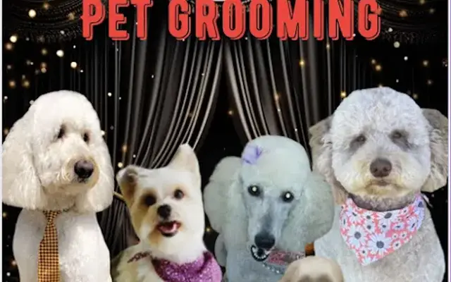 A Paws and Claws Pet Grooming in Robertsdale, AL