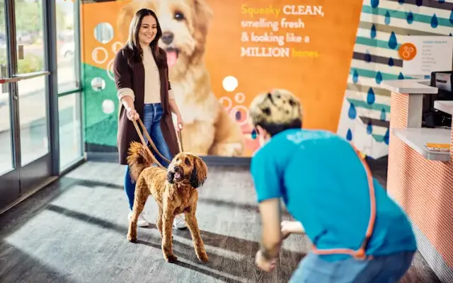 Dogtopia of Westchase in Tampa, FL