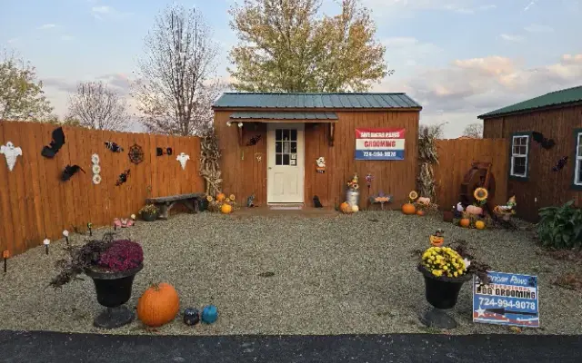 American Paws Grooming in Avonmore, PA