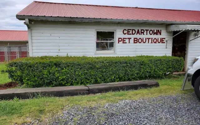 Cedartown Pet Boutique in Cedartown, GA