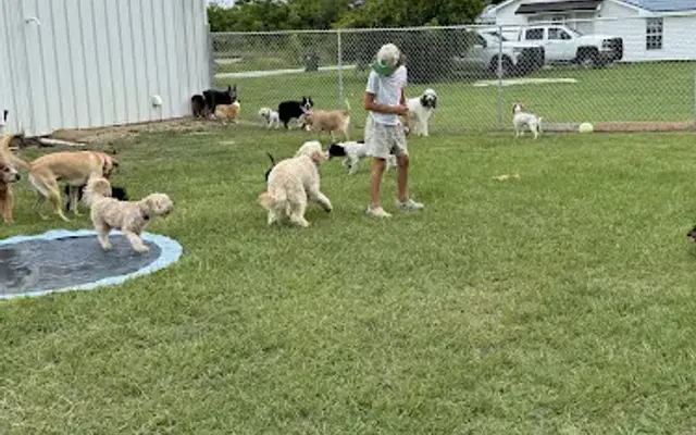 Waggin Tails By Casey, LLC in Iron City, GA