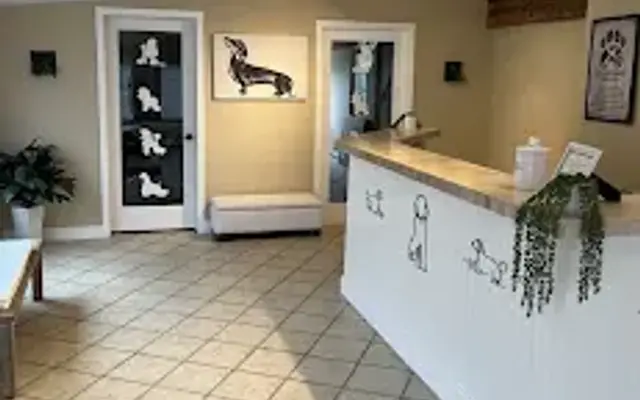 Pawfection Grooming Studio in Brookfield, CT