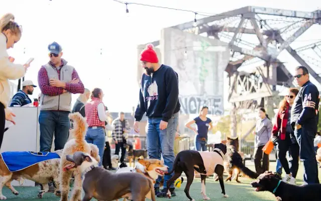 Pup Social in Chicago, IL