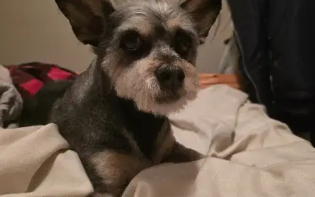 Mom's Pet Salon in La Vernia, TX
