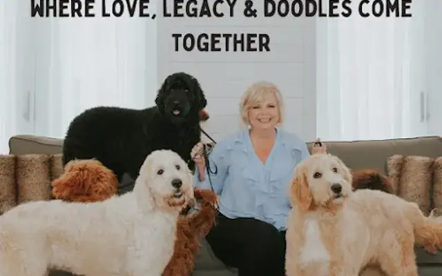 Smeraglia's TeddyBear Goldendoodles in Robertsdale, AL