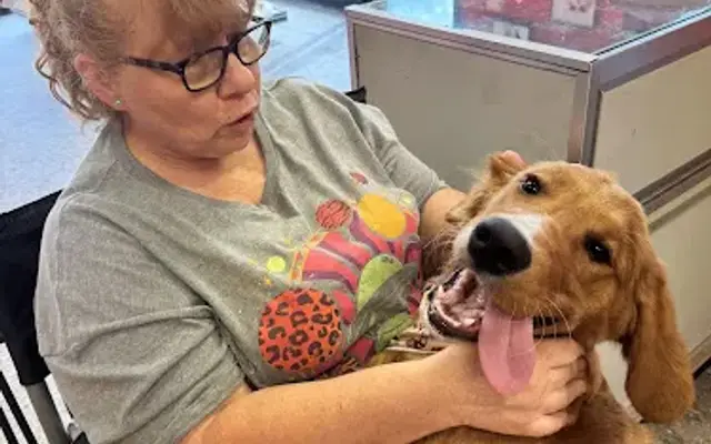 Red’s Ruff Cuts in La Porte, IN