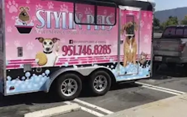 stylin pets mobile dog grooming in Lake Elsinore, CA