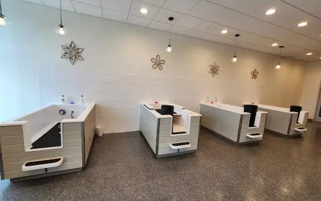 Washes & Barks Canine Wellness Studio- Montgomery in Montgomery, OH