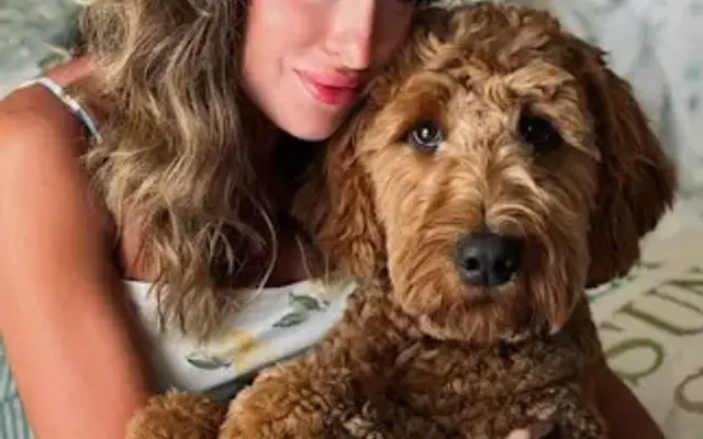Sarah's Little Barks in Winchester, VA