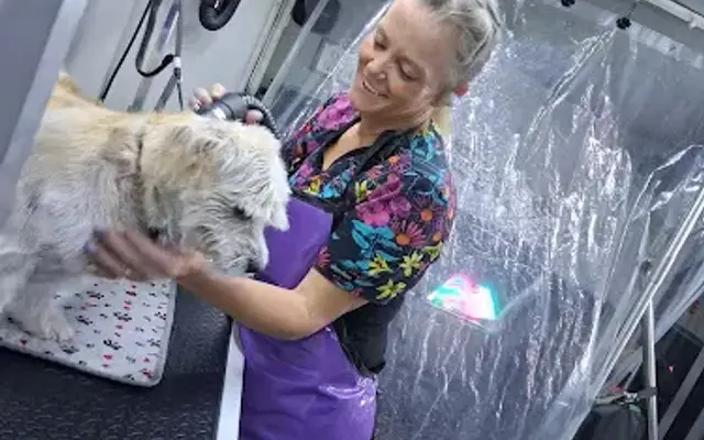 Faylees Pawfect Dog Grooming in Springfield, MO