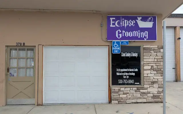 Eclipse Grooming by Whitney in Yuba City, CA