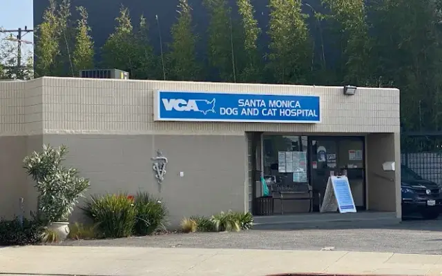 VCA Santa Monica Dog and Cat Hospital in Santa Monica, CA