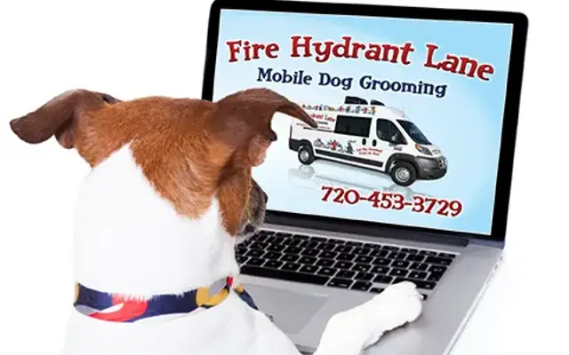 Fire Hydrant Lane Mobile Dog Grooming in Mead, CO