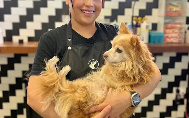 Paw Commons Pet Resort & Training Center - Encinitas in Encinitas, CA