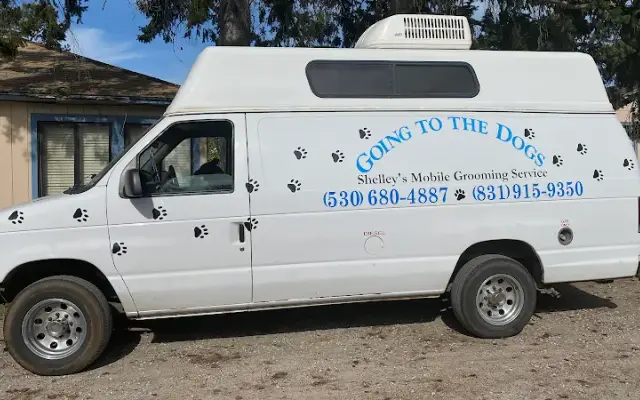 Going To The Dogs Shelley's Mobile Grooming Service in Carmel, CA