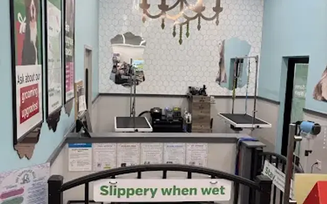 Pet Supplies Plus Willoughby Grooming in Willoughby, OH
