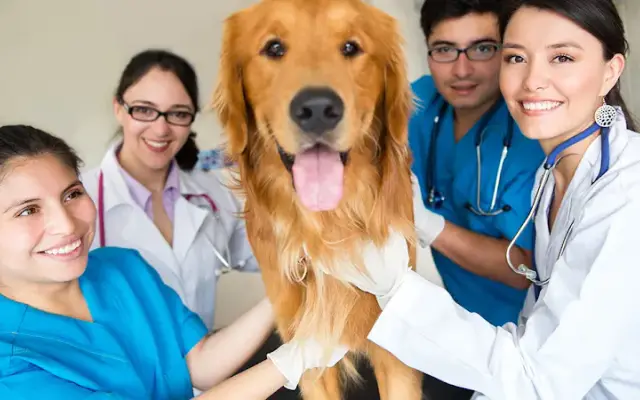 Ashland Terrace Animal Hospital in Chattanooga, TN