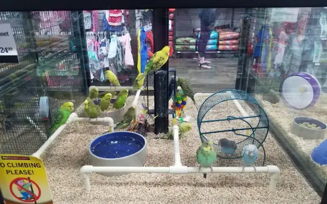 Pet Supermarket in McDonough, GA
