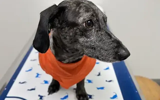 VCA Pleasant Bay Animal Hospital in East Harwich, MA