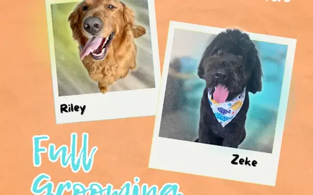 Puppie Pup's Grooming in Mauston, WI