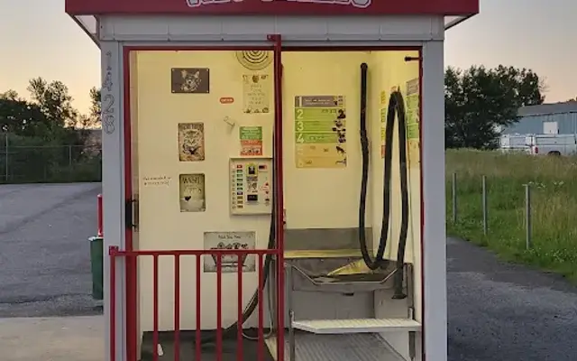 Wet Willie's Pet Wash in Fayetteville, AR