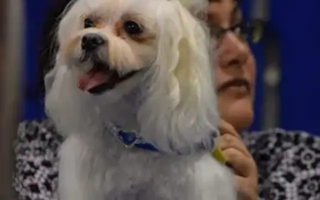The Pampered Pup in Montgomery, AL
